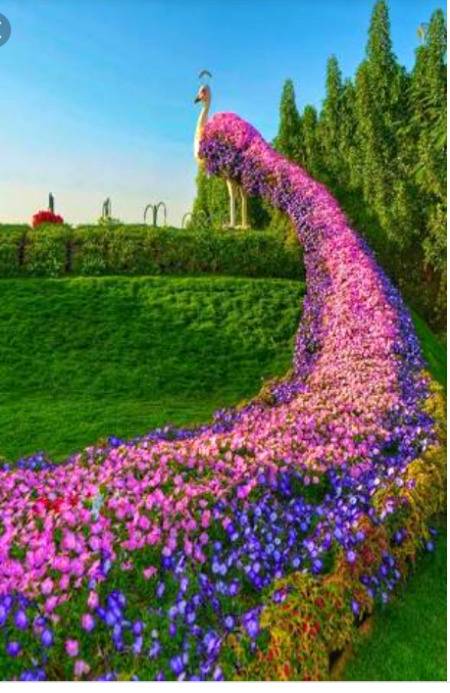 Dubai miracle garden