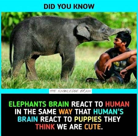 DID YOU KNOW??
