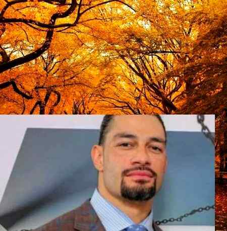 Roman reigns 👍🤘🤘🙏😘❤😍💔