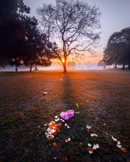 Mother Nature Being Treated Well 🌸