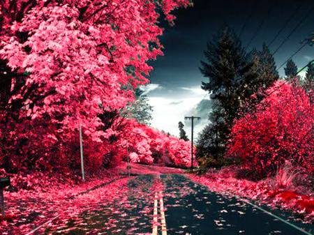 Beauty of nature.