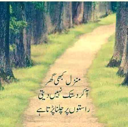 بلکل ٹھیک کہا