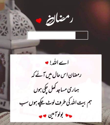 🌹🌹🌹صلی اللہ علی حبیبہ محمد نور من نوراللہ وعلی آلہ واہل بیتہ وعترتہ وازواجہ وصحبہ وجدہ وذریتہ و کل امتہ وبارک وسلم کثیراً کثیرا و دائماً ابدا 🌹🌹🌹