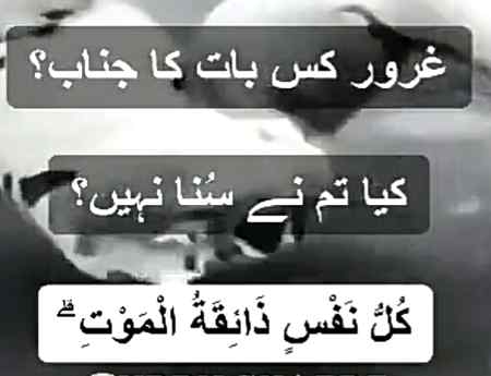 Asslam-o-Alikum everyone