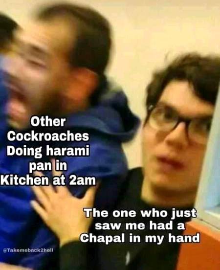 Cockroach usually be doing party midnight xD