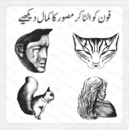 Khy kmal pic thy lakri bhai👌👌