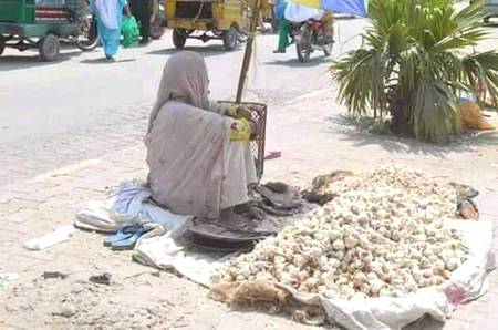 تپتی دوپہر میں رزق حلال کی عبادت

میرے سارے سجدے قضا کر دیتی ھے