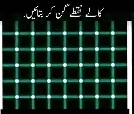 Find the black dots