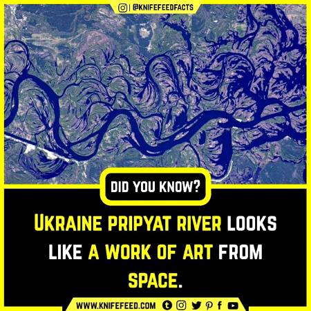 DID YOU KNOW??