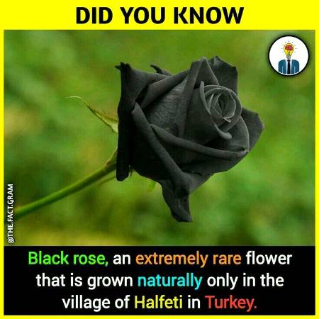 Important knowledge... Did you know