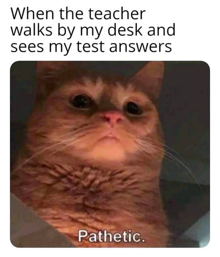 Every math Examination ever