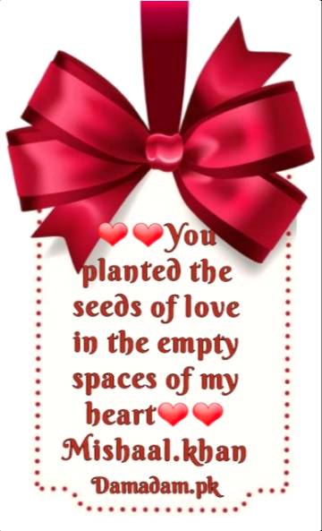 The seeds of love....❤