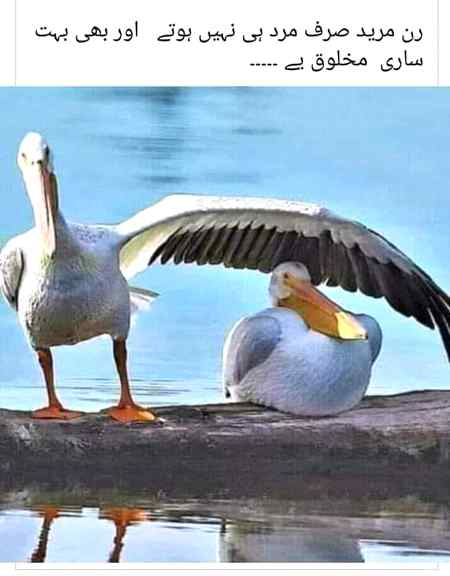 Run moord sub hotain Hain