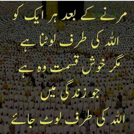 Bilkul❤❤
