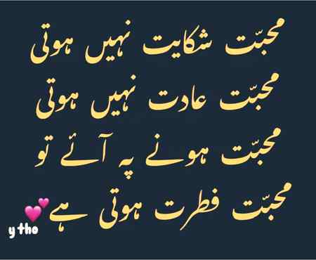 ترے وجود کا لفظوں میں کیا احاطہ ہو
چھ دیوانوں کے برابر تو آنکھیں ہیں بس

شباب فخری for u jaaa
