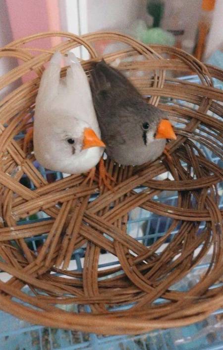 Heeyyy ruuiii n chuiii wannssayy hiiii to yalll except bbb n dat harami pathan humpfhh :"//