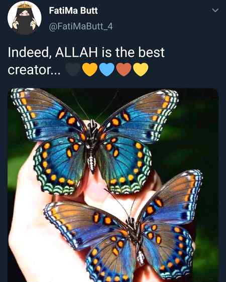 ❤️❤️❤️ Beauty❤️❤️❤️