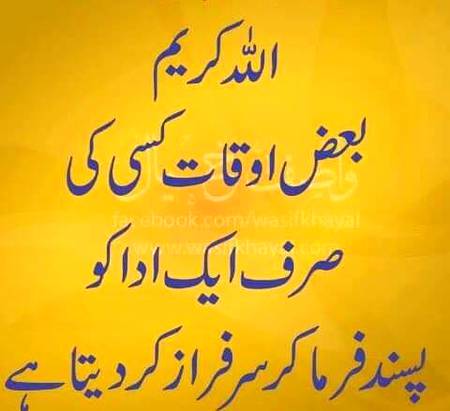 🌹🌹🌹صلی اللہ علی حبیبہ محمد نور من نوراللہ وعلی آلہ واہل بیتہ وعترتہ وازواجہ وصحبہ وجدہ وذریتہ و کل امتہ وبارک وسلم کثیراً کثیرا و دائماً ابدا 🌹🌹🌹