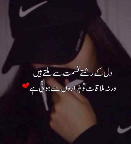hlo friends