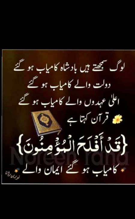 Good evenig