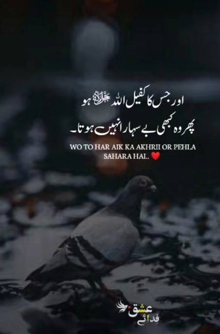 beshak 😊💯☺️
