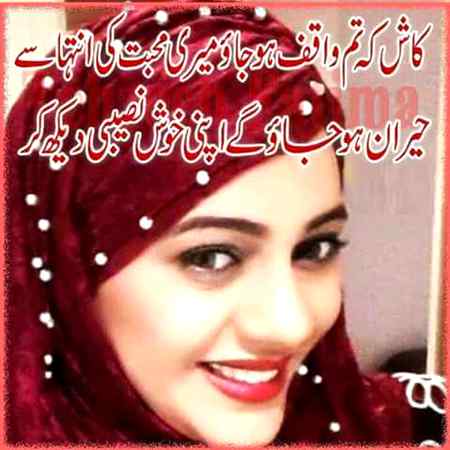 hlo friends