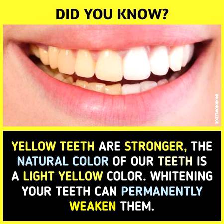 did you know