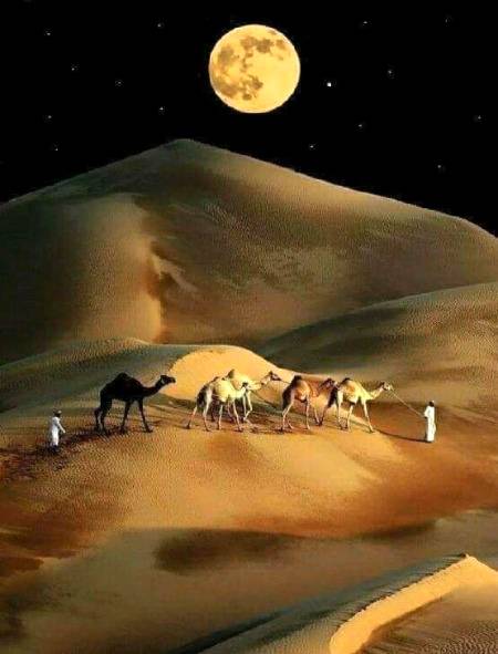 Desert photography 🔥🔥