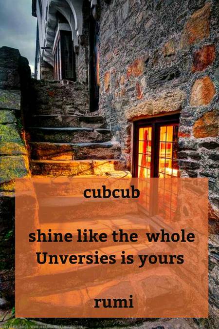 RUMI'S WORDS