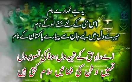 Mary watan tary nam 🇵🇰🇵🇰