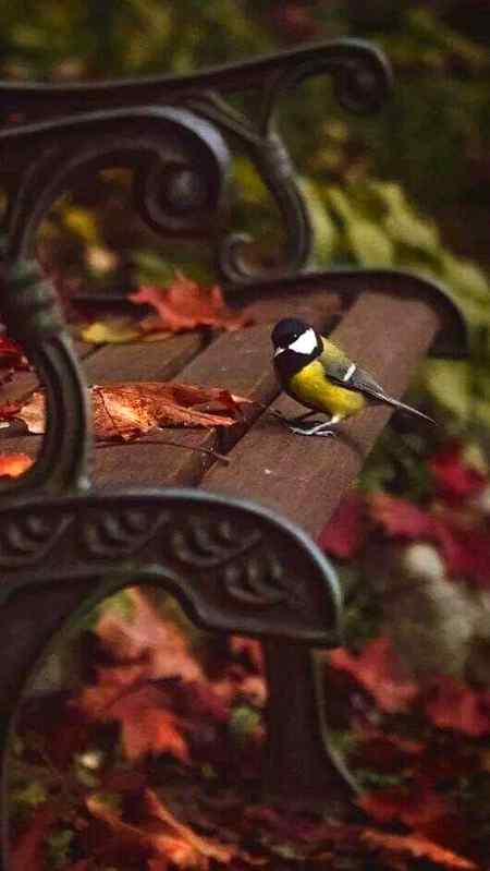 فرصت میں یاد کرنا ہو تو کبھی نہ کرنا 
میں تنہا ضرور ہوں مگر فضول نہیں