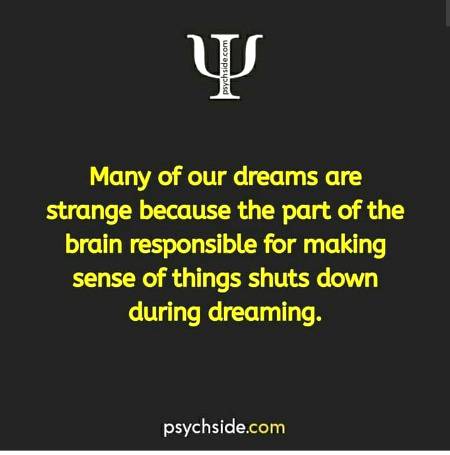 Many of our dreams