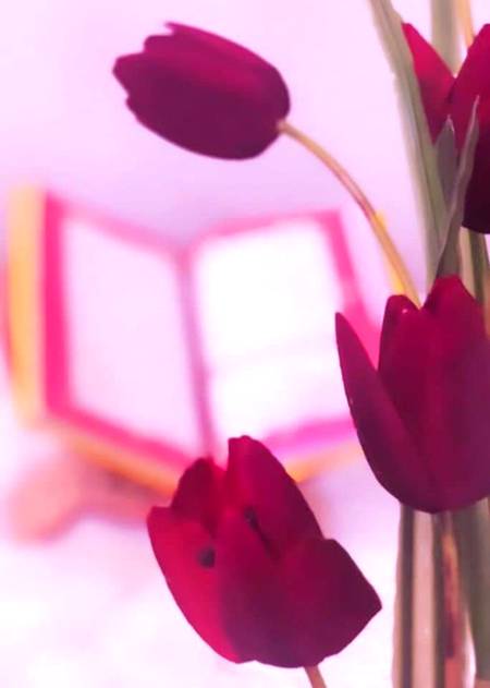 ایکــ شخصــں بــــن کـر نہ جیــــو بلکـہ 
ایکـــــ شخصیتــــــ بـــــن کــر جــیو 
کیـونکــہ شخصـــں تــــو مــــر جــــاتا ہـــے
مگـــر شخصیتـــ ہمیشـہ زنــدہ رہتـی ہــــیں