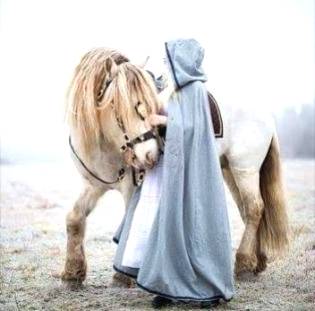 "میری باتوں کو وہی سمجھ سکتا ہے جس کی سوچ غلامی سے پاک ہو"