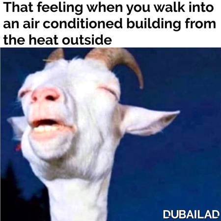Best feeling ever