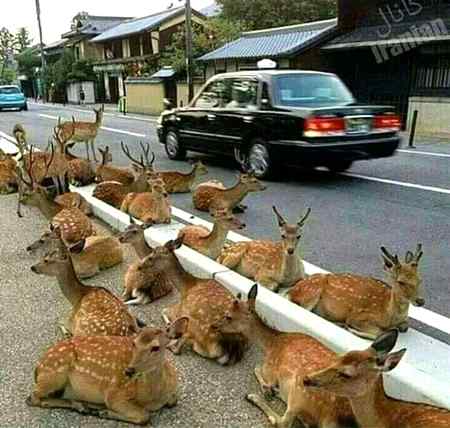 جہاں انسانیت، عدل و انصاف اور اعتماد ہو.. وہاں ڈر، خوف اور بد امنی جنم نہیں لیتی..