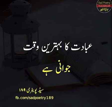Beshak 💯✔