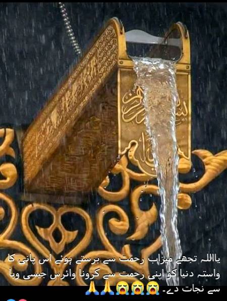 Ameen 🌺 Suma ameen