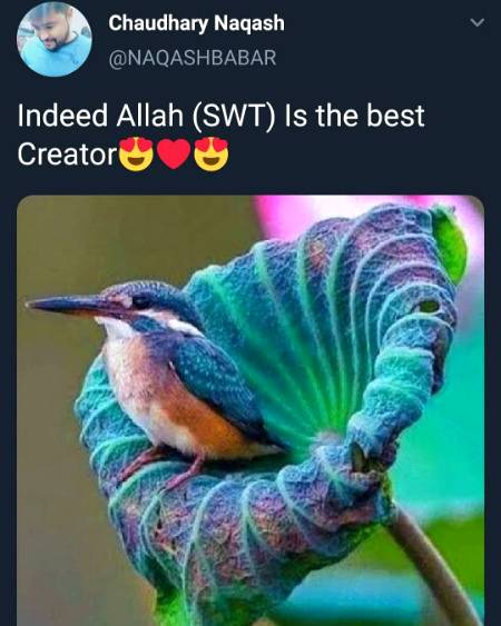 ❤️❤️😍 Beshaak😍❤️❤️