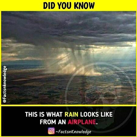 DID YOU KNOW??