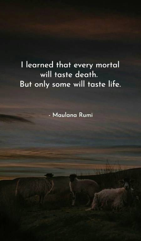RUMI'S WORDS