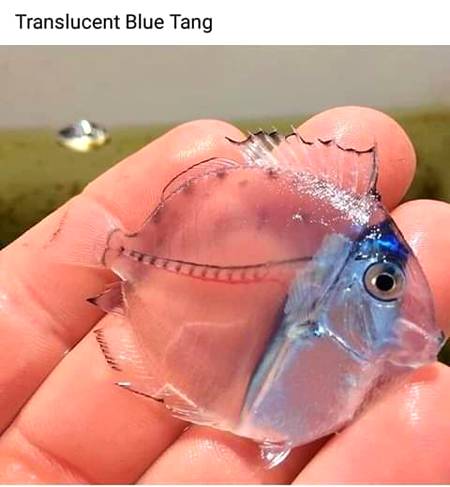 So beautiful MASHA ALLAH😍😍