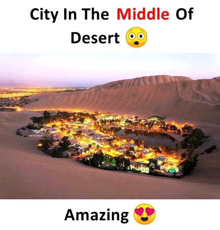 Amaizing
