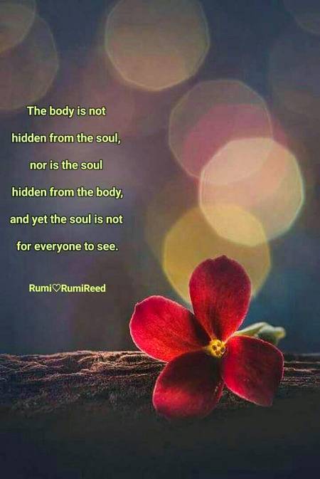 RUMI'S WORDS