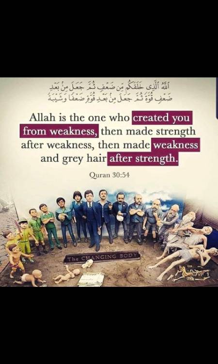 That's the reality of our life .by QURAN.