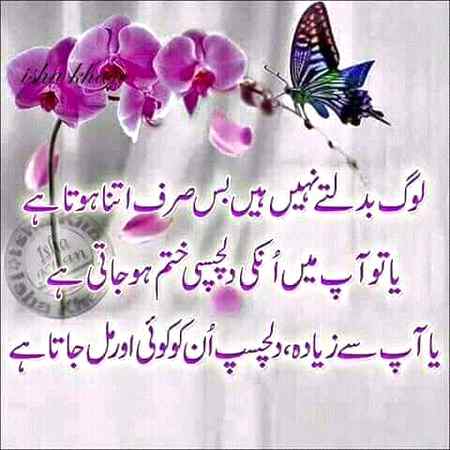 hlo friends