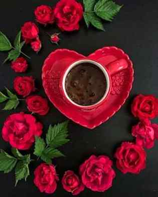 Tujhay kya khabar ay bakhabr tere Yaad may pal pal mrta hay koe 🌹🥀🏵️🌱💐🌹🏵️