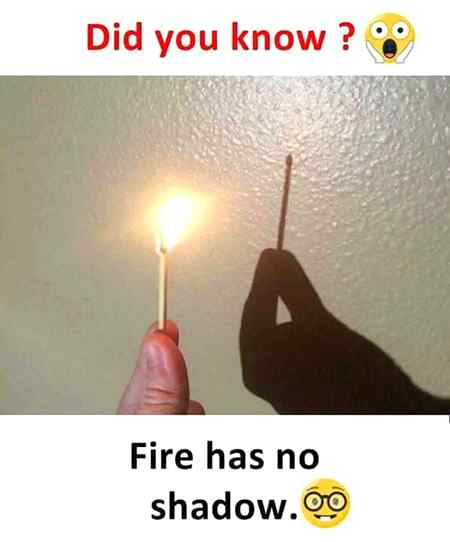 Did you know???