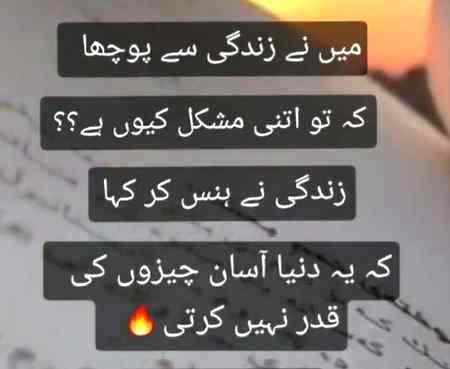 Bilkul 🍃🍂🍂
