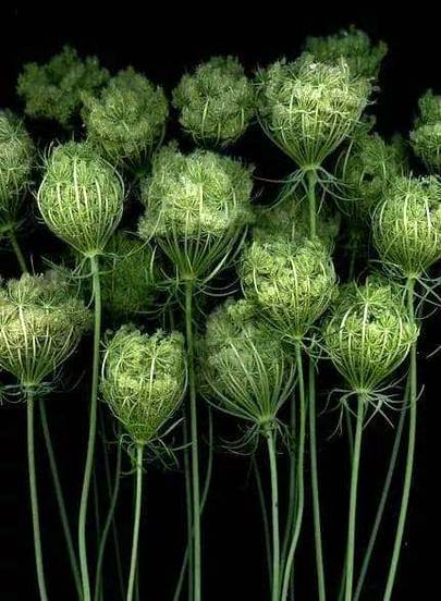 Unzi786 just for you